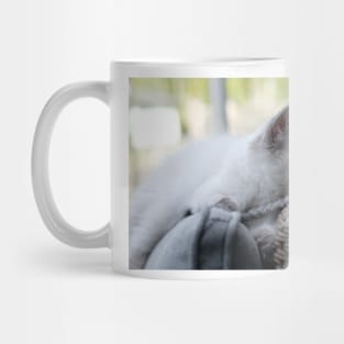 Musse the gray and white ragdoll cat Mug